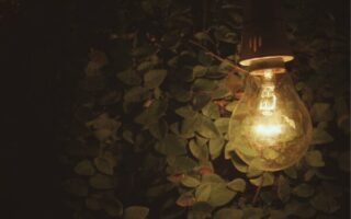 Lâmpada acesa iluminando plantas verdes em local de baixa luz