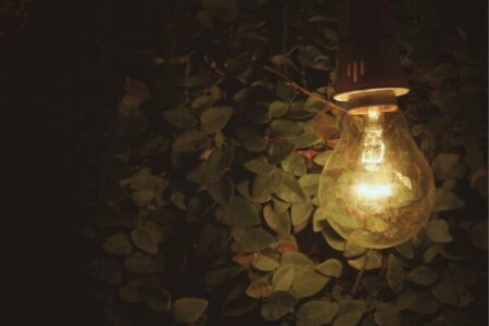 Lâmpada acesa iluminando plantas verdes em local de baixa luz