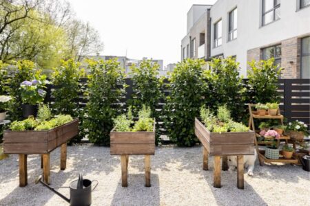 Horta sustentável com diversas plantas verdes em vasos e canteiros, transformando um espaço urbano em um ambiente acolhedor e ecológico.
