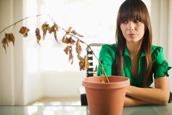 Mulher observando com atenção uma planta seca em vaso, representando cuidado, tentativa de recuperação e conexão com o espaço verde