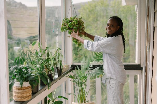 Como criar um jardim urbano mesmo com pouco espaço em uma varanda com plantas ornamentais